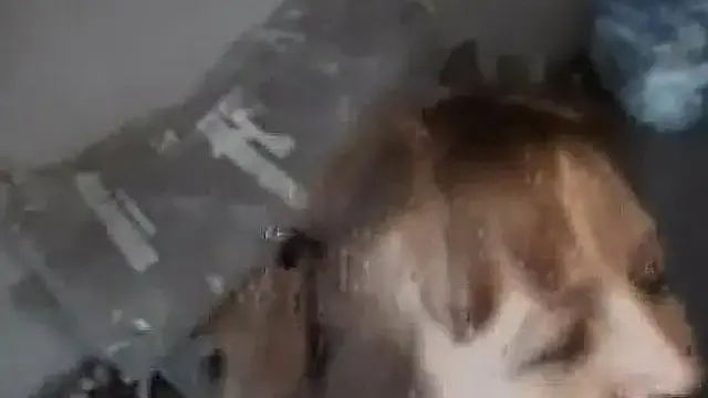 Amateur teen girlfriend anal gangbang with facial