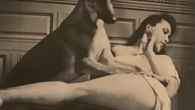 Experienced Ladies Join Forces with Energetic Broadmasters